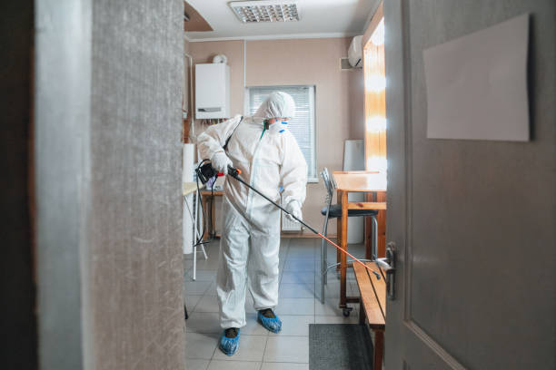 Best Black Mold Removal  in Bethel, NC