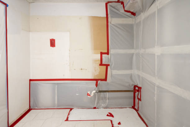 Dehumidification Services in Bethel, NC